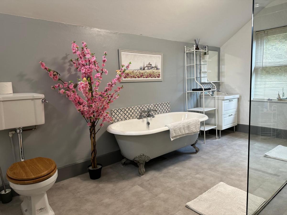Bed and Breakfast The Hollies South Kilworth Exteriér fotografie